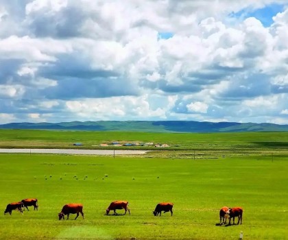 艱苦卓絕，奮楫篤行! 2025唐姆渠道事業(yè)部年中營銷峰會圓滿舉行
