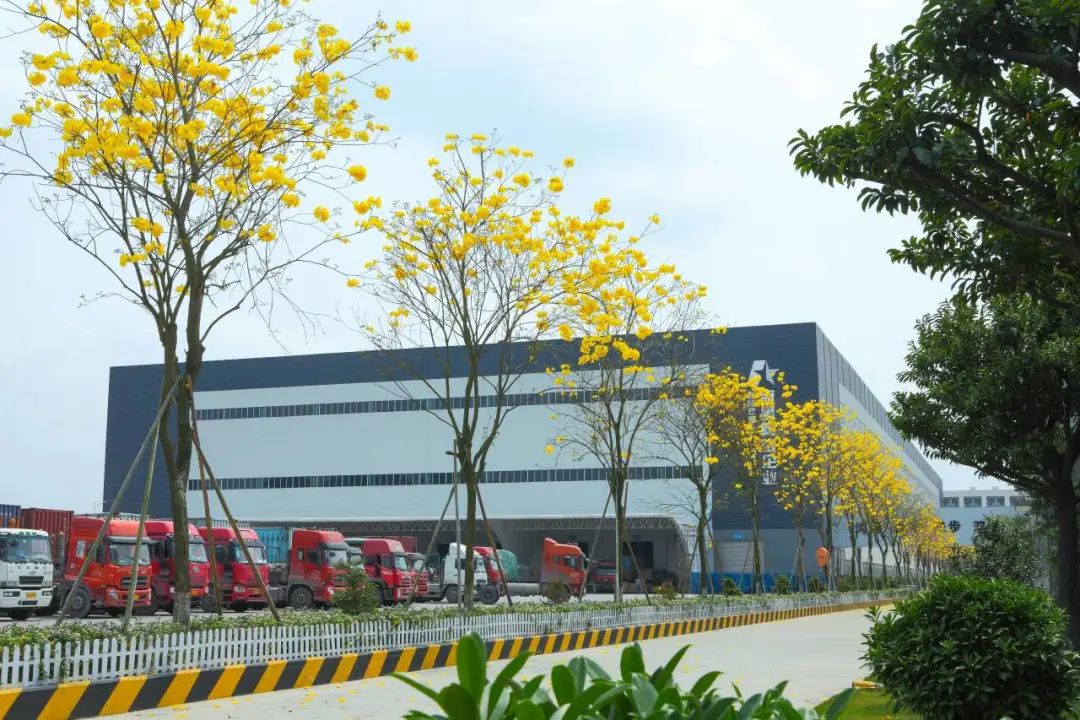 1701329732279137.jpg 10.jpg