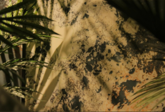 1717053442521536.png 圖片12.png