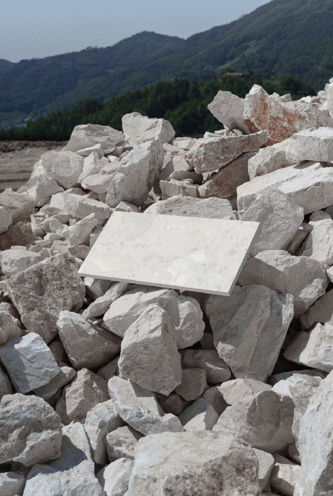 1753688224950154.jpg 東鵬動(dòng)圖2新.jpg